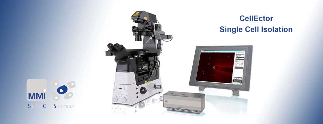 Excellent quality, classic products !