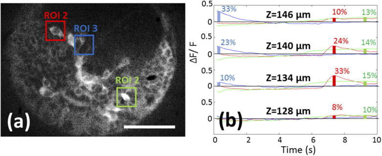 Gintoli 2020 Figure 7