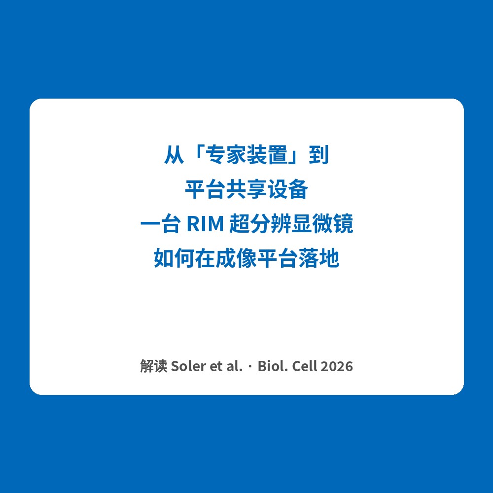 从“专家装置”到平台共享设备：一台 RIM 超分辨显微镜如何在成像平台落地
