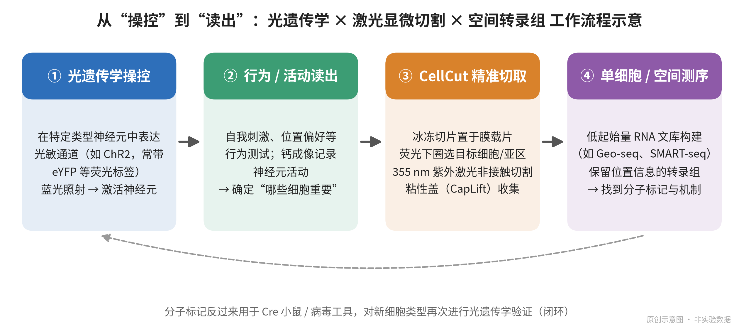 fig1_workflow