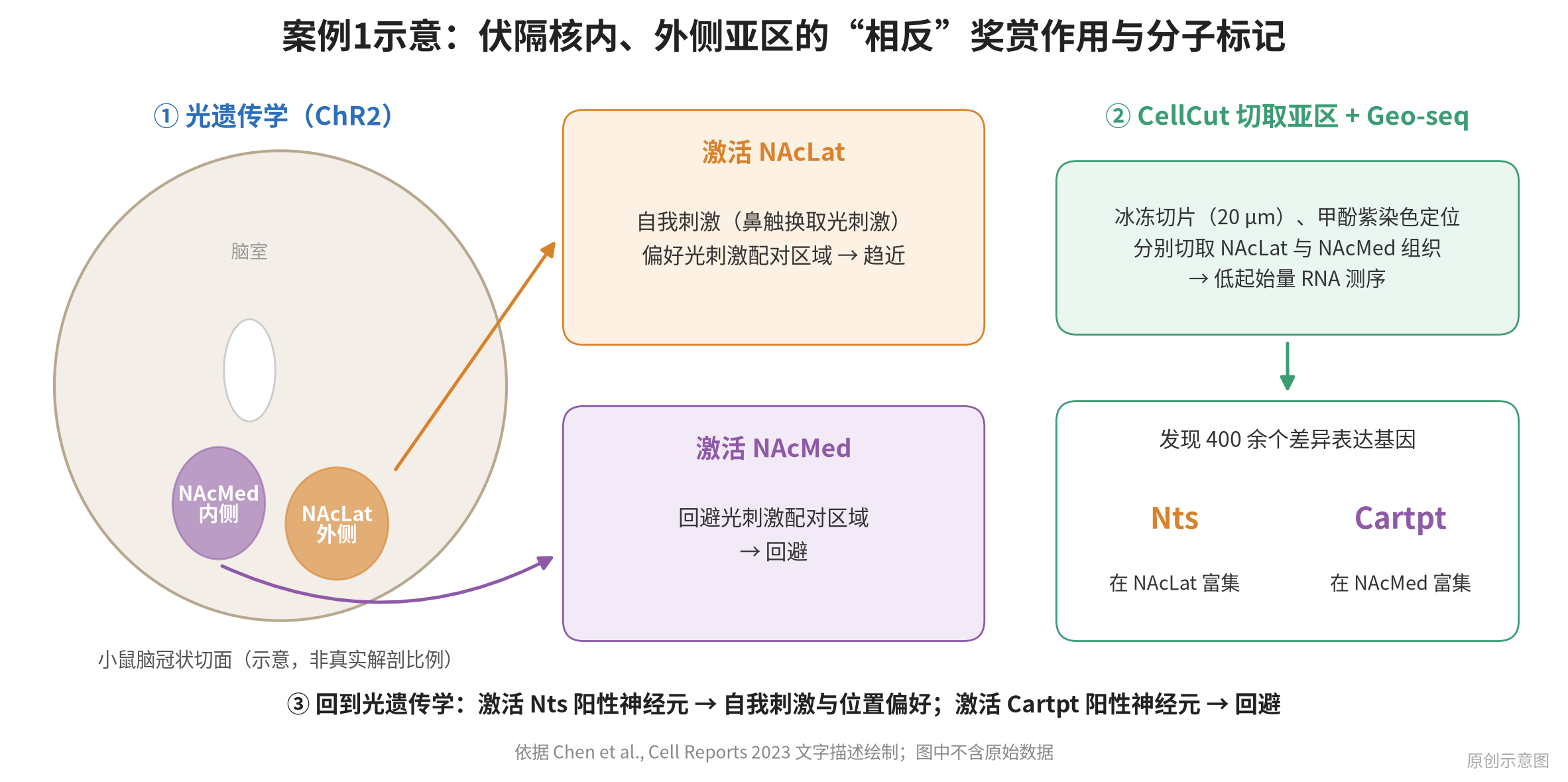 fig3_nac_geoseq