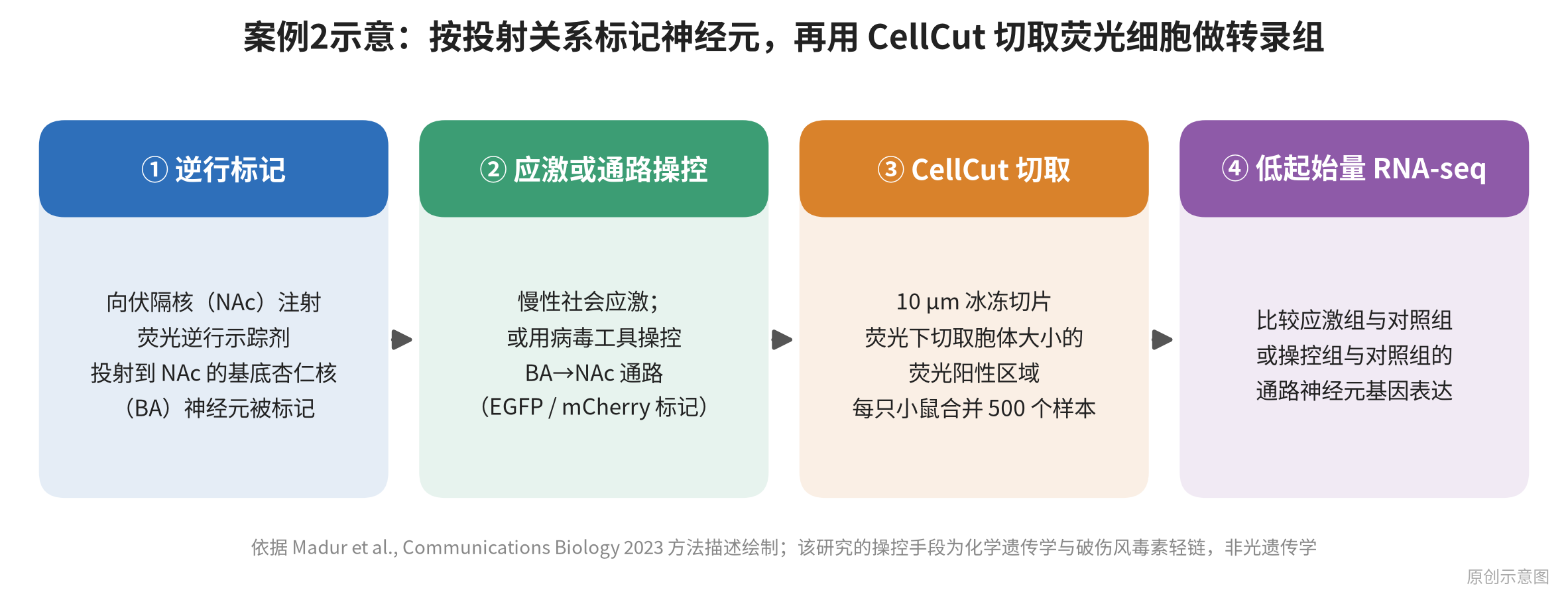 fig4_ba_nac_cellcut